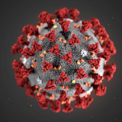 coronavirus coronavirus