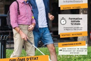 formation accompagnant éducatif et social